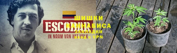 apvp Покачи